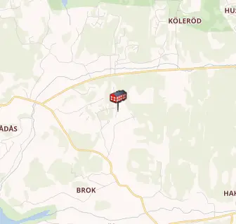 Tjörn