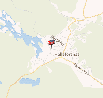 Flen