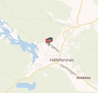 Flen