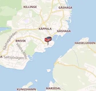 Lidingö