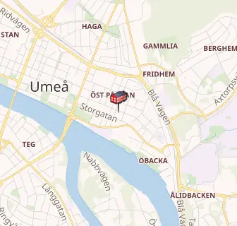Umeå