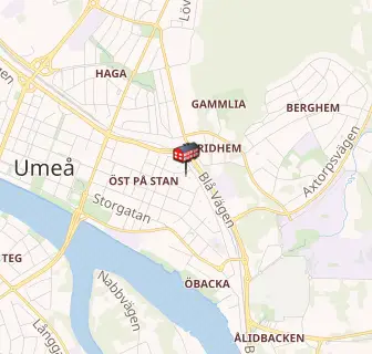 Umeå