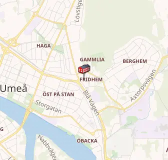 Umeå