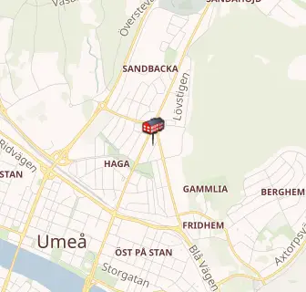 Umeå