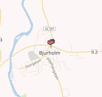 Bjurholm